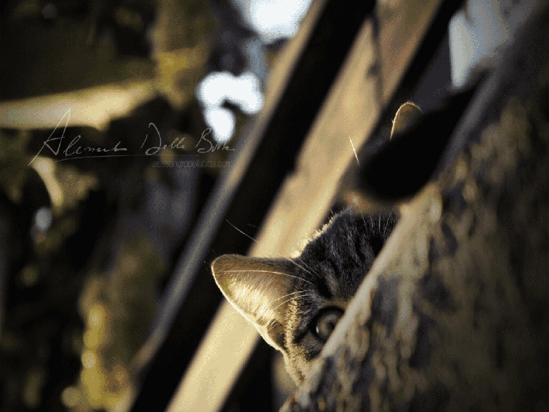 试管nt值33,省二试管咋样